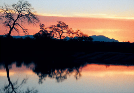 schweizer.png